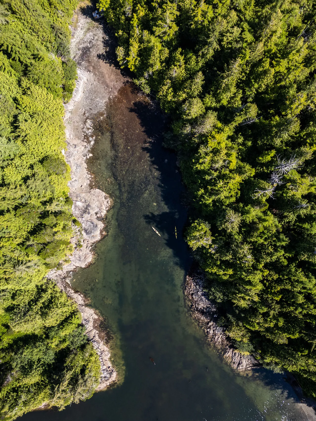 Overhead aerial of two kayakers paddling a narrow forested channel at low tide