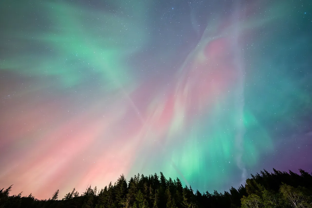Green and pink aurora filling the night sky above a silhouetted treeline