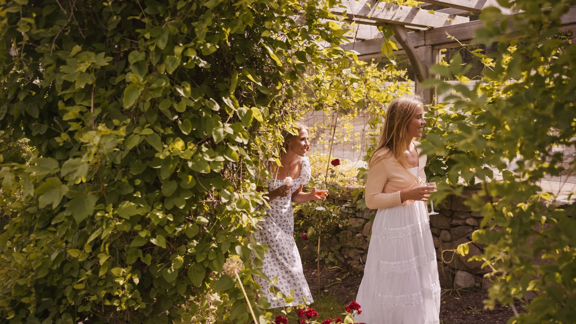 Two guests walking through the vine-covered garden arbour with glasses of wine