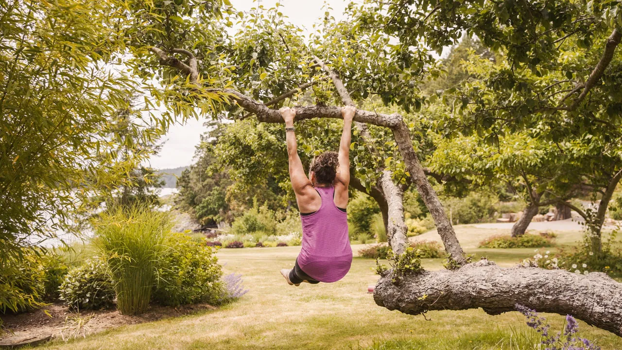 Guest hanging from the limb of an old apple tree on the lawn, with the sea visible through the trees