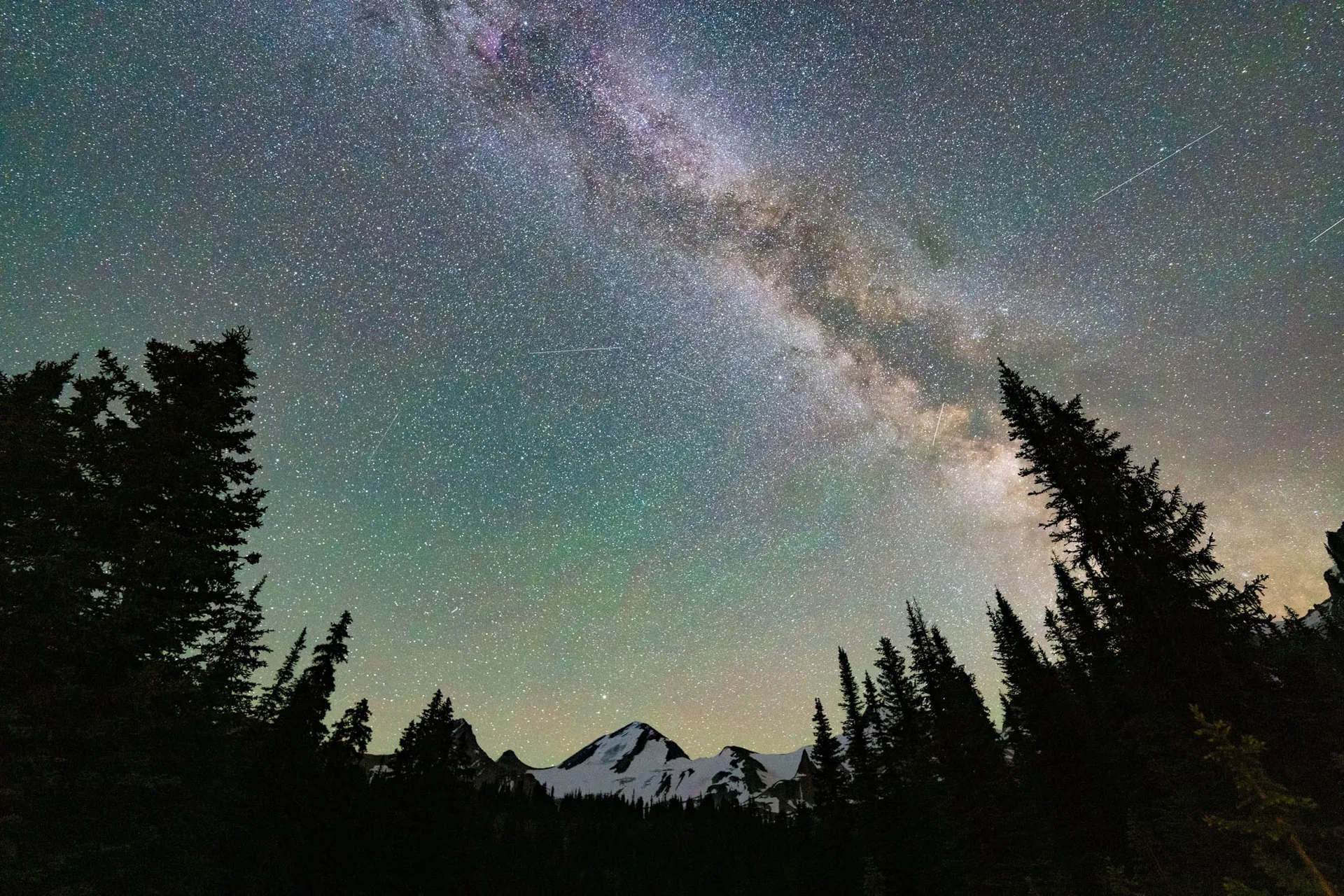 The Milky Way arching over silhouetted spruce and a distant snow-covered peak