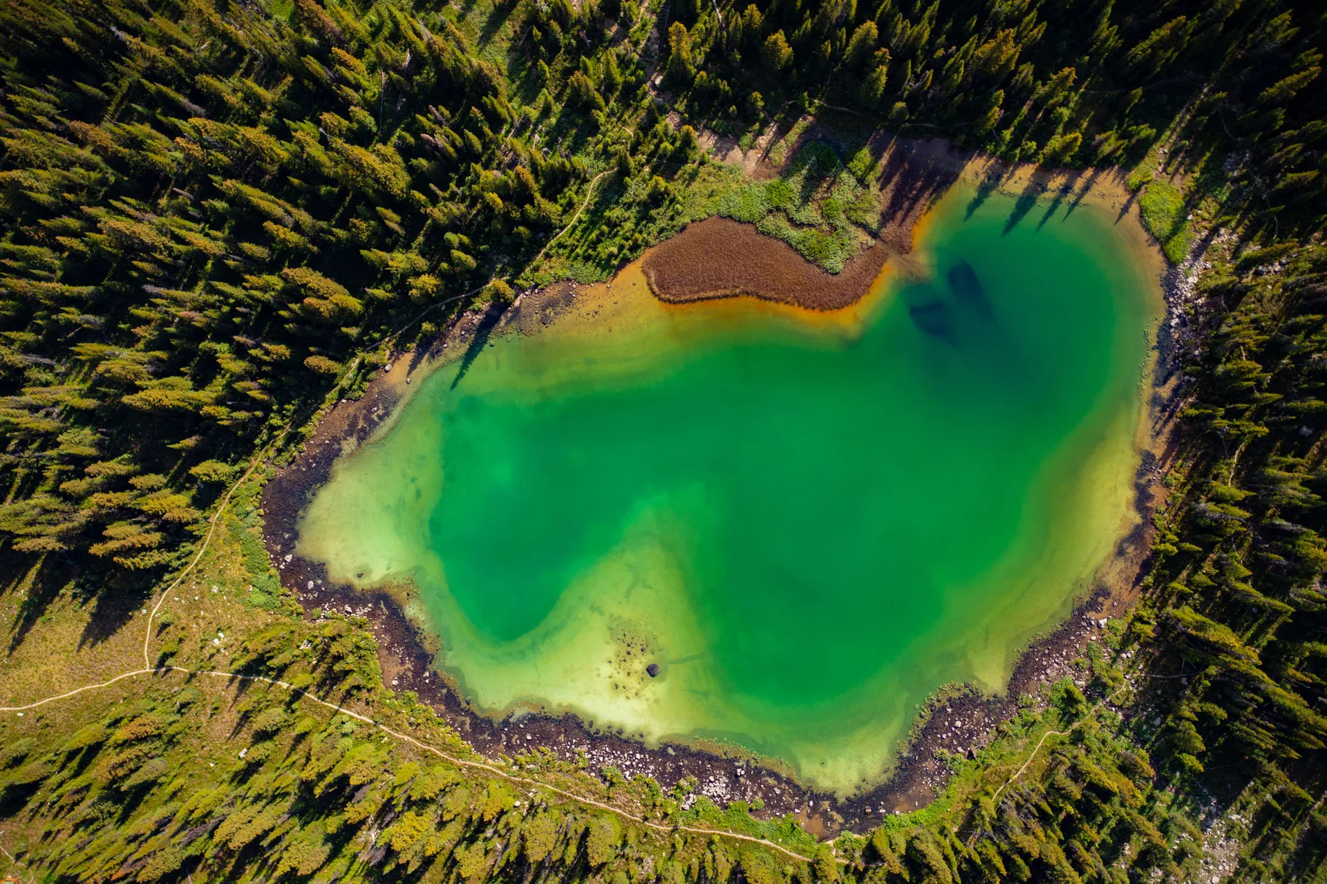Overhead aerial view of a turquoise alpine tarn ringed by conifer forest and a hiking trail