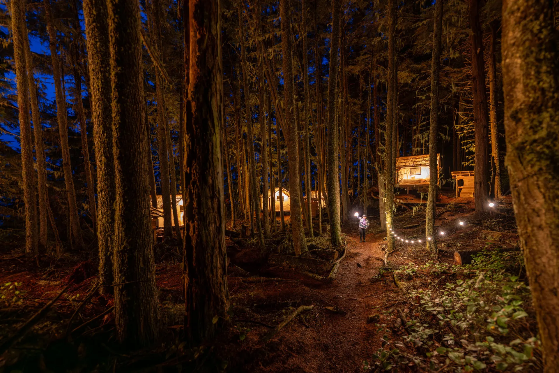 Lit safari tents glimpsed between tall trunks along a lantern-lit forest path at night