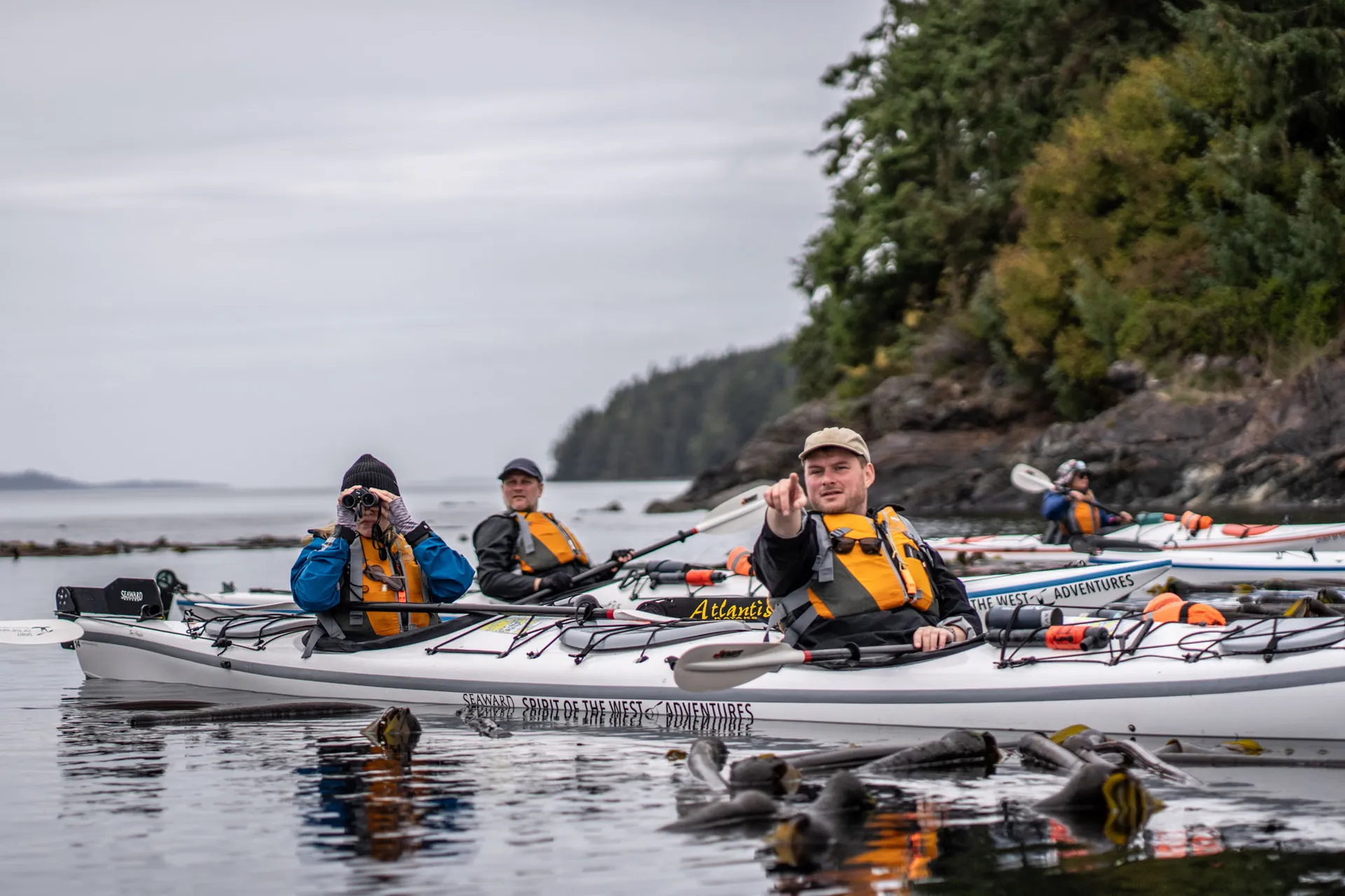 A guided group of kayakers rafted together beside a forested shore, kelp floating on the surface