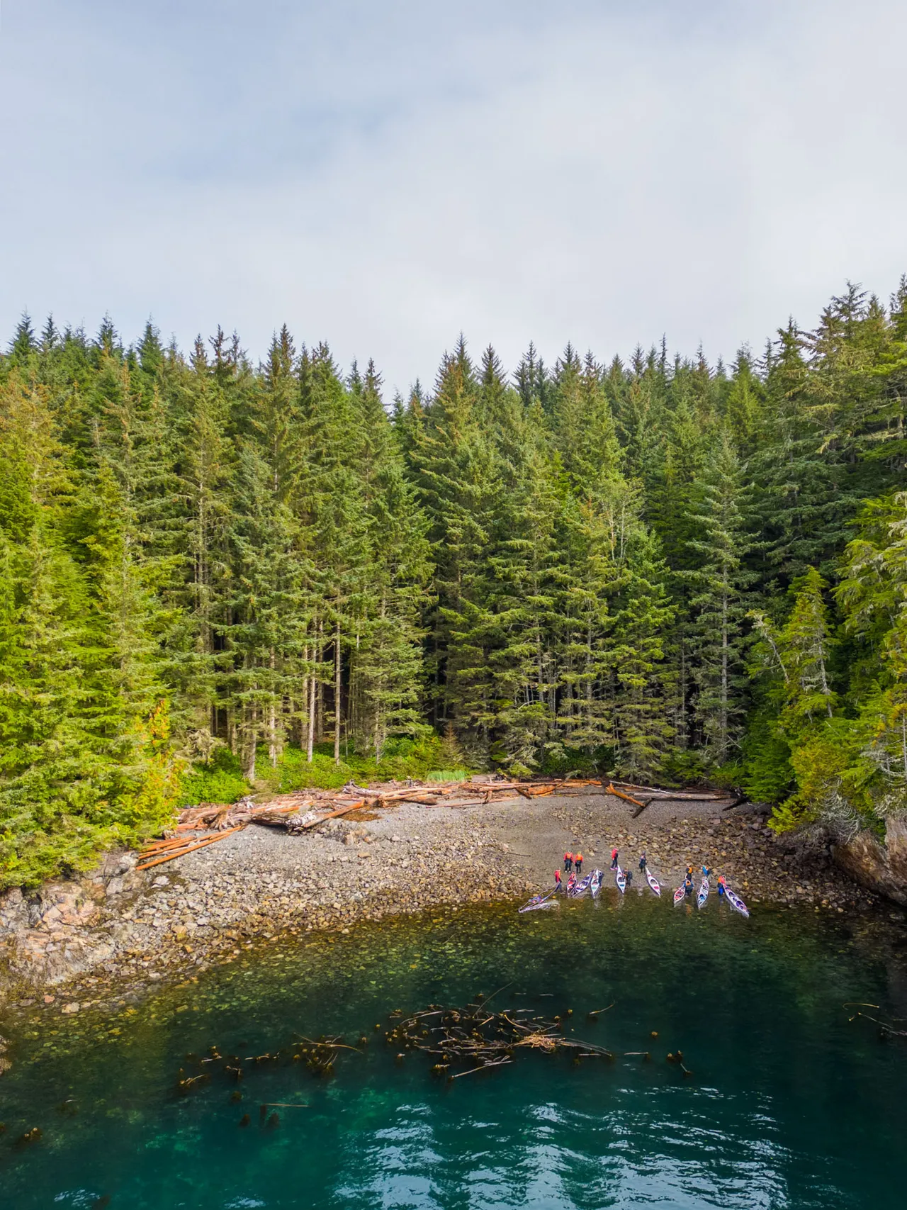 Aerial view of a guided group landing sea kayaks on a pebble beach below dense forest