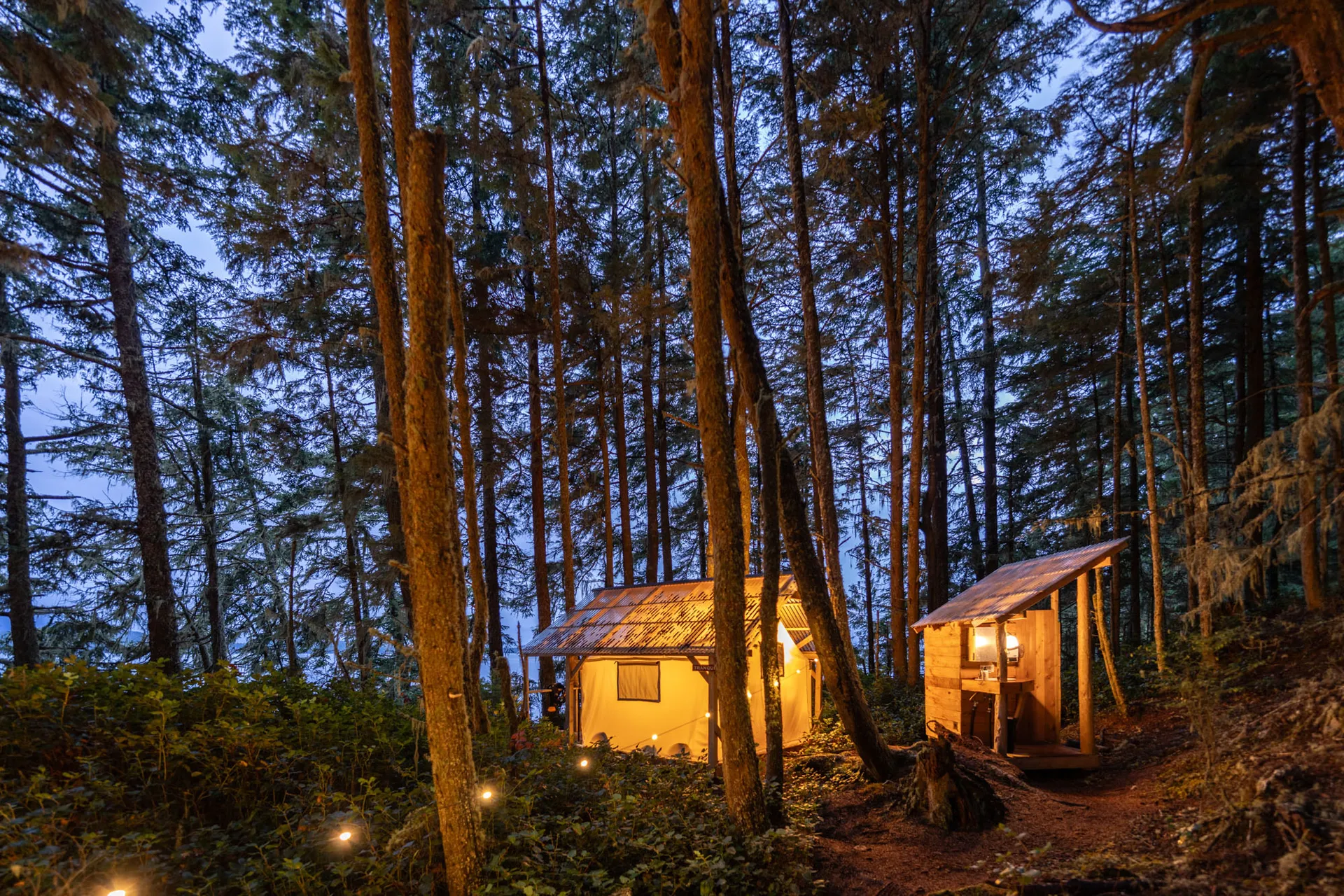 Two lit safari tents among tall conifers at dusk, linked by a path with ground lighting