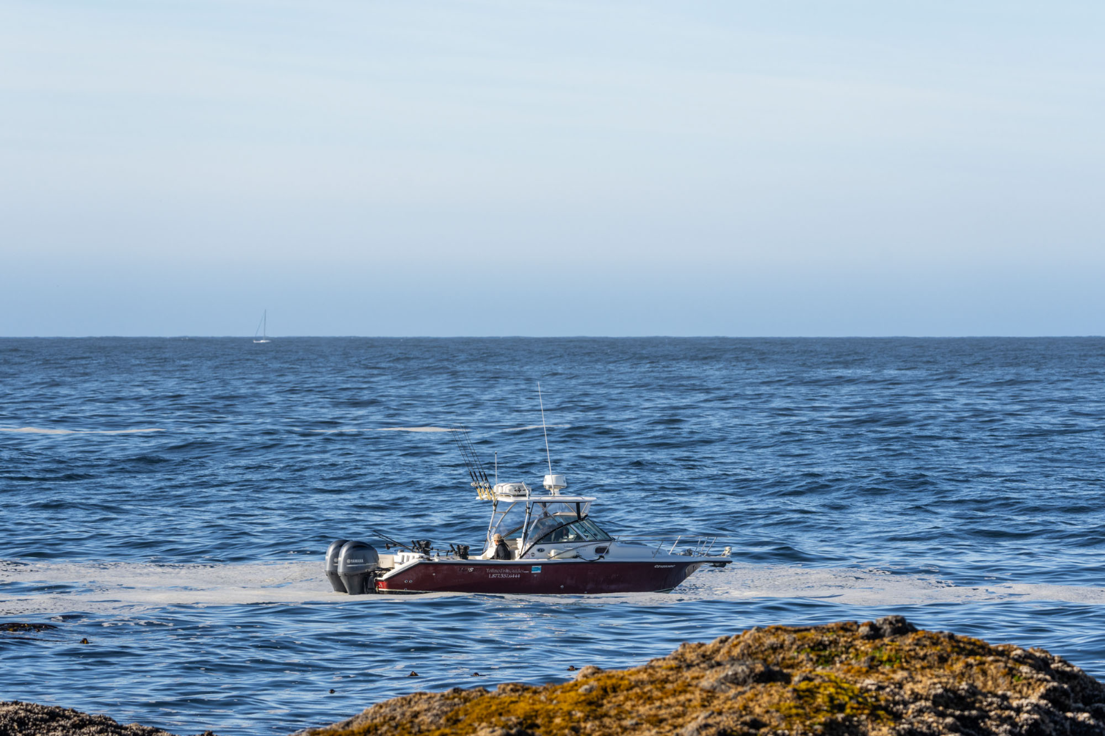Tofino fishing